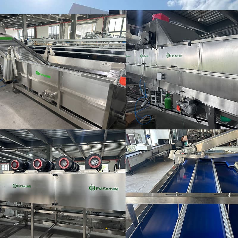 images/1716541835660citrus processing line.jpg